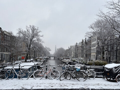 bicycles in the snow