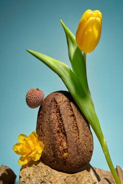 Still life with yellow flowers, rye bread, lychee and natural elements
