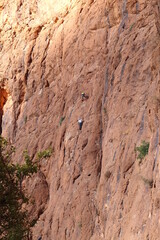 Obraz premium Climbers scale a sheer face in Morocco's Todra Gorge