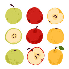 Fresh apple set. Vector illustration with green, yellow, and red whole and half fruits isolated on white.