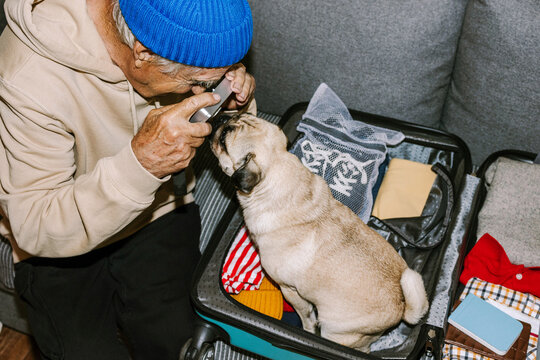 A person is taking a picture of a dog.