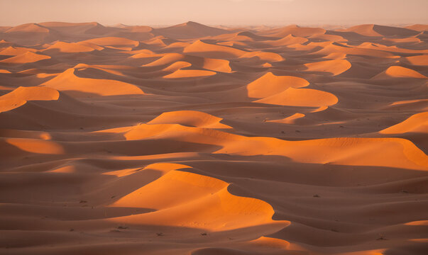 Erg Chigaga Sunset Dunes