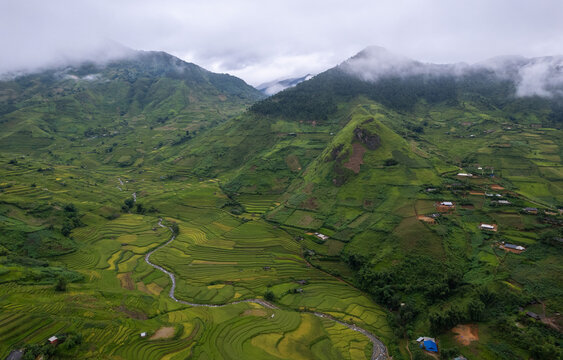Mu Cang Chai Morning Terraces