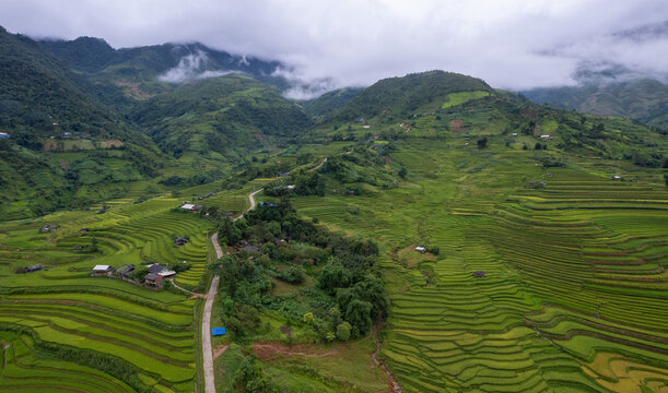 Mu Cang Chai Morning Terraces