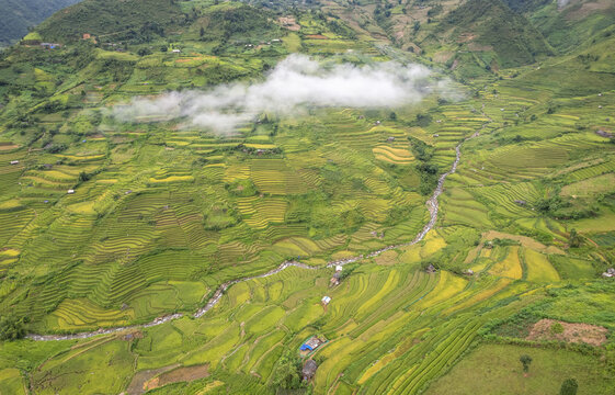 Mu Cang Chai Morning Terraces