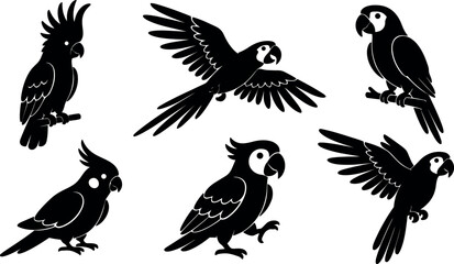 Obraz premium Flat design parrot silhouette set multiple poses cockatoo and macaw flying perched standing close up profile vector icons simple black