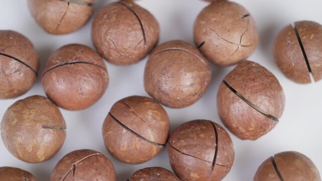 Macadamia nut display. Raw macadamia nuts showcasing natural textures and earthy tones. Artistic closeup of whole macadamia nuts emphasizing shell details and gourmet appeal