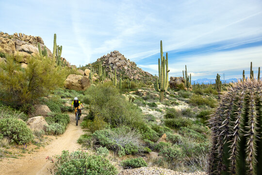 MTB in the desert
