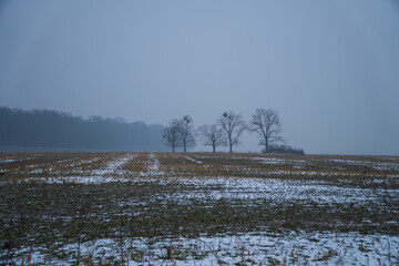 somewhere in poland, pola zimą © rob