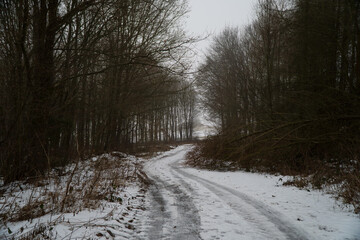 somewhere in poland, lesna droga © rob