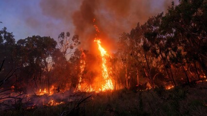 Fototapeta premium Forest trees engulfed by tall flames near woodland edge.