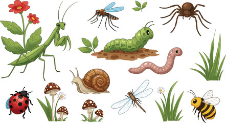 Garden Insects and Small Creatures Vector Set with Praying Mantis, Snail, Bee, Spider, Worm and Caterpillar © Mukta  Creative