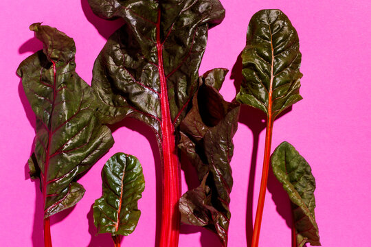 Swiss chard on a bright pink surface
