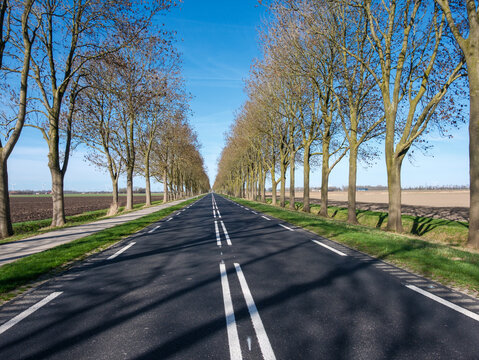 N307 highway in Flevoland province, The Netherlands