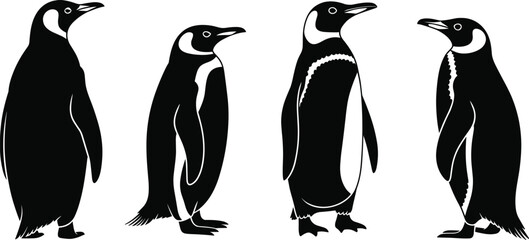 Penguin silhouettes collection, emperor penguin vector icons, arctic animal flat illustration, cad drawing flat vector illustration, flightless bird. © Monjila