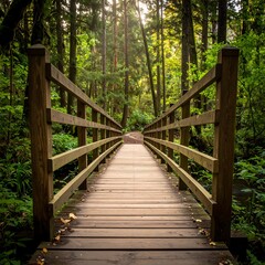 Wooden bridge spans a lush forest path with dappled sunlight