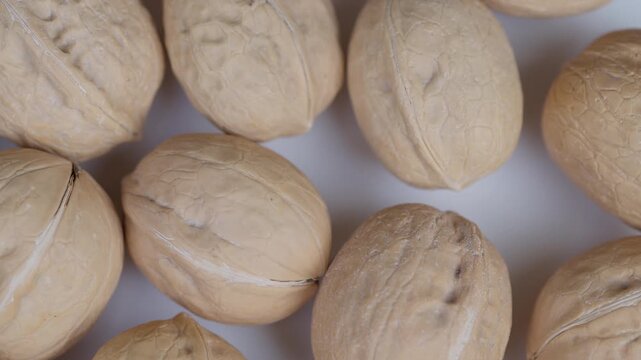 Walnut shells display. Detailed macro image of textured cracked walnuts shells. Highresolution photograph showcasing arranged cracked walnut shells with soft lighting