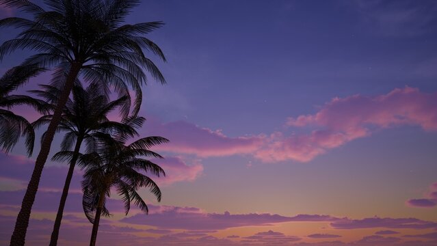 Tropical Palm Trees at Sunset &ndash; Colorful Sky and Summer Vibes