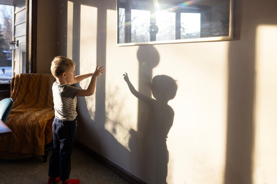 Shadow Play