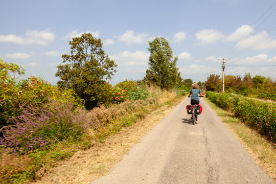 Rear View of Cyclist on Road
