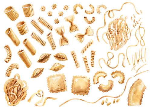 Watercolor Illustration Set of Assorted Italian Pasta Shapes
