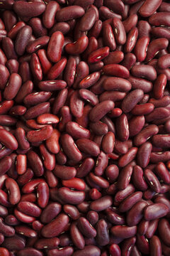 Organic Red Kidney Beans Displayed on a Flat Surface for Cooking