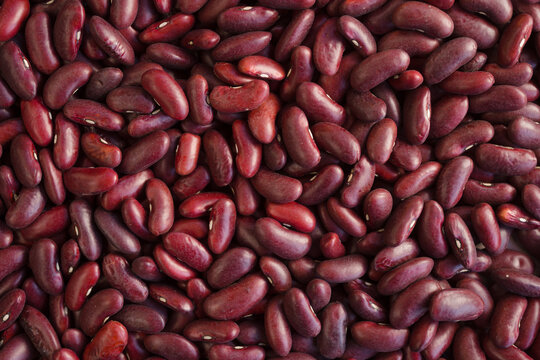 Overhead dry Kidney Beans