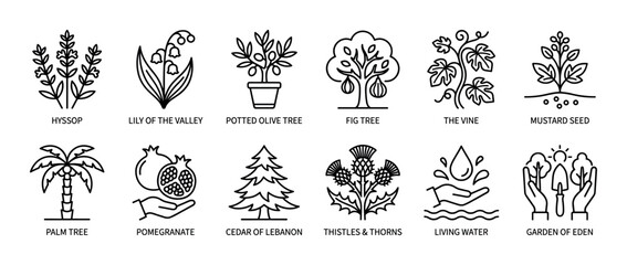 Biblical plants and symbols icon set in a simple black outline style, featuring hyssop, fig tree, pomegranate, palm tree, and other religious illustrations isolated on white