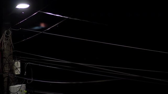 Moths fly around the street lights at night