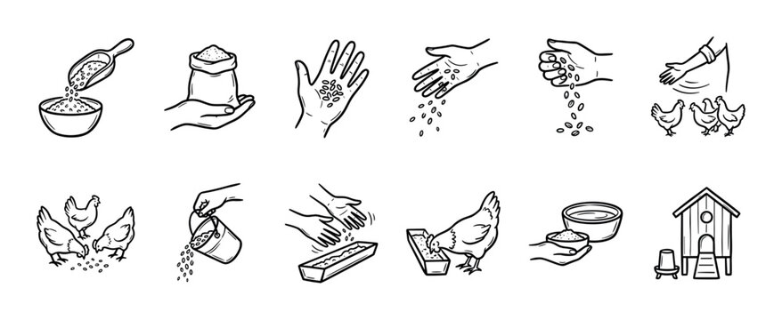Set of chicken feeding and poultry farming icons showing hands scattering grain, birds eating from a trough, and a coop, in a hand-drawn doodle style isolated on white