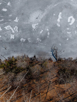 Winter Scene, Trees Near a frozen lake 