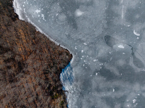 Frozen lake edge with bare trees in winter