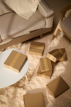 Cardboard boxes arranged on a fluffy rug near a sofa and a chair
