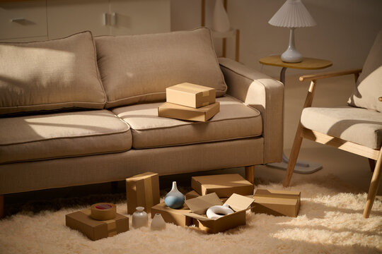 Cozy living room with cardboard boxes, sofa, and decorative items