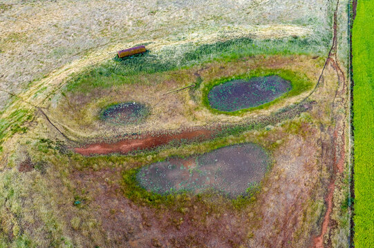 Grass and colourful vegetation around the shoreline of a drying dam