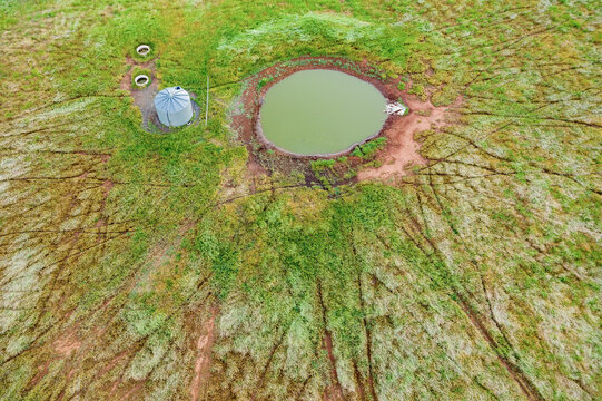 Animal tracks through a field leading toward a farm dam and water tank