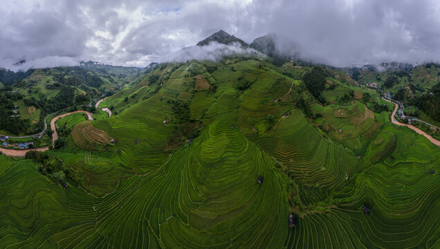Mu Cang Chai Rice Terraces