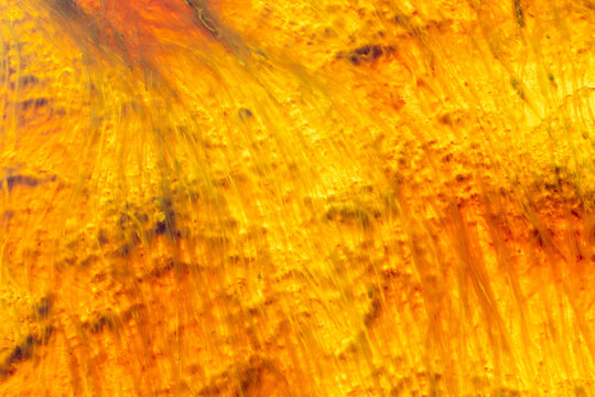 Abstract Liquid Color Flow