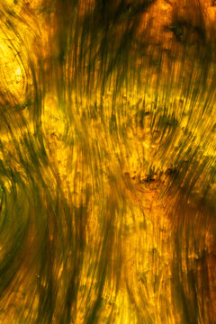 Abstract Liquid Color Flow