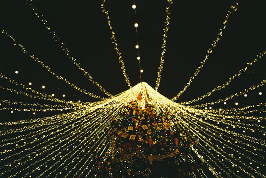 Golden Light Canopy and Christmas tree at Night