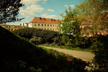 Obraz premium Couple Leisurely Explores Curving Pathway Surrounded By Carefully Trimmed Shrubs And Dappled Sunlight