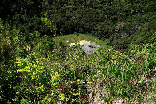 Trou aux Cerfs, Lush Green Volcanic Crater Overlook, Mauritius