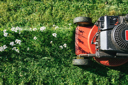 Lawn mowing on a sunny day in a backyard garden