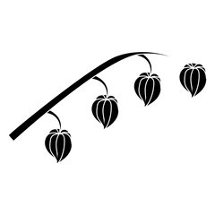 Obraz premium A physalis branch with four flowers in a black and white silhouette style. Vector illustration isolated on a white background.