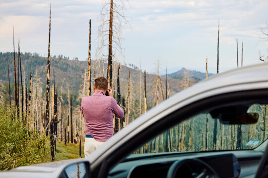 Man photographs devastated trees in Yosemite