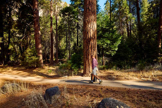 Man pulls his suitcase through nature