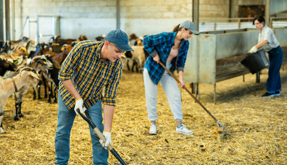 Male farmer holding agricultural tool in the goat shed