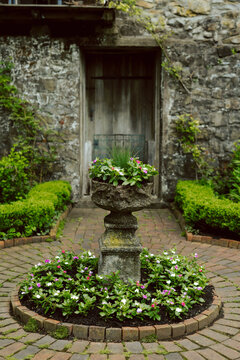 Flower Fountain