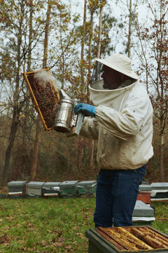 Honey - Farm