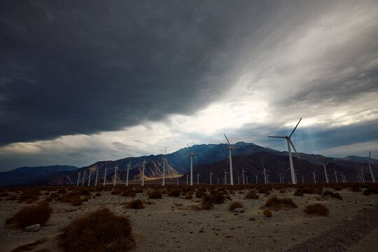 San Gorgonio Pass wind farm
